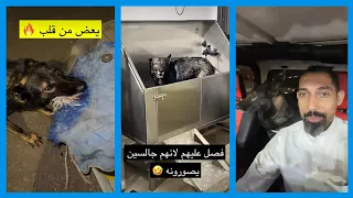 الكلاب هجموا على عبدالرحيم في محل الحيوانات والكلب كلايمر استجن يبي يعض 🤯  سناب عبدالرحيم Bingoo