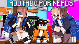 STHAN foi ADOTADO por NERDS no Minecraft!