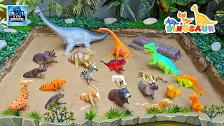 Mud Adventure: Herbivore Dinosaurs & Jungle Animals for Kids Fun Learning | D for Dinosaur