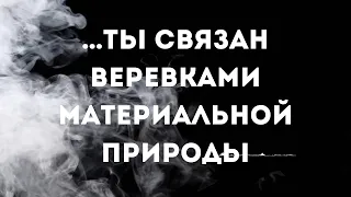 …ты связан веревками материальной природы