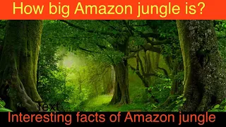 The Amazon rainforest | the amazon is a colossal mystery | Amazon