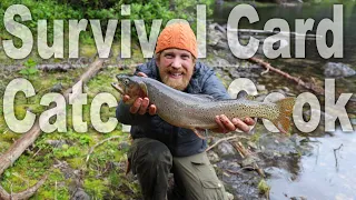 Grim Survival Fishing Card Trout Catch and Cook Day 19 of 30 Day Survival Challenge Canadian Rockies