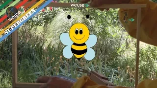 2 of 10 - Basi di apicoltura con Fernando - La dimora delle api - Come è fatta una arnia?