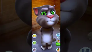 Talking Tom Cat Funny Shorts Video 🌶️🍠🧀🍇🍋🥑🍅🍆🍉🥐🥖🍍 #shorts #cat