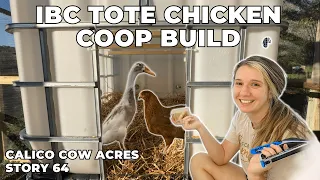 How to Build a Chicken Coop Using an IBC Tote | Homestead Build