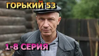 Горький 53 1, 2, 3, 4, 5, 6, 7, 8 серия (2024) - детектив