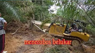 cara bulldozer membuat jalan baru