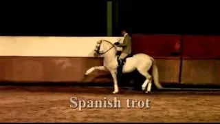 Paulo Sergio & Ulysses performing spanish walk and spanish trot