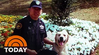 Officer Who Survived 9/11 Remembers His Police Dog Who Died During Terror Attacks