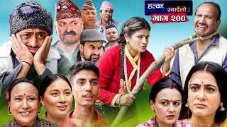 Halka Ramailo || Episode 200 || 15 October || 2023 || Balchhi Dhurbe, Raju Master || Nepali Comedy