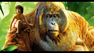 طفل اتربى مع نمر وعيله من الذئاب وعاش في الغابة  The Jungle Book   ملخص فيلم