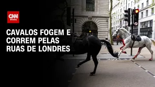 Cavalos fogem e correm pelas ruas de Londres | LIVE CNN