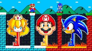 Can Mario Collect Peach, Mario, Sonic FLOWER in New Super Mario Bros. Wii