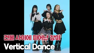 H1-KEY(하이키) '건물 사이에 피어난 장미 (Rose Blossom)' Vertical Dance