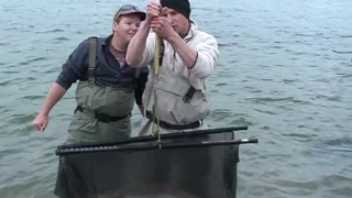 World Record Rainbow Trout - Our Story 3