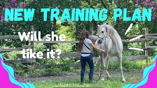 Our horses try a NEW training plan!