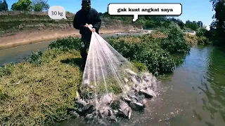 VIRAL ...!!! JALA IKAN DI TAIWAN SATU KALI TEBAR 30 kg 😯