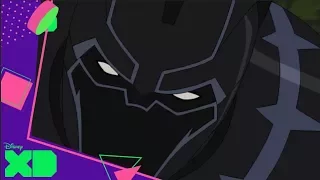 Vengadores Unidos - Secret Wars: Black Panther | Disney XD Oficial