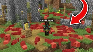 ESTO PASO con los ALDEANOS mientras YO NO ESTABA en la ALDEA de MINECRAFT! 😱