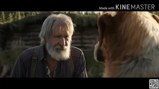 Call of the Wild Best scene #callof the wild#movie clip#adorable pets tv