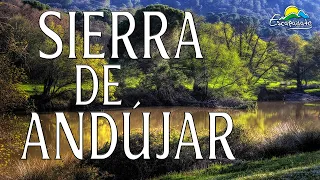 SIERRA DE ANDUJAR,  EL MAYOR SANTUARIO DE VIDA SALVAJE DE ESPAÑA.