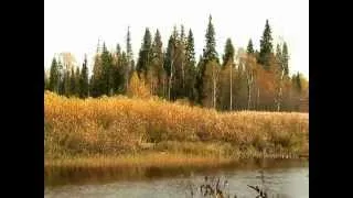 район Ухты Коми Осенняя река Чуть