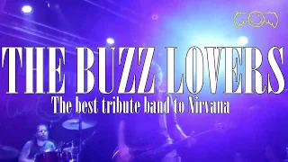 The Buzz Lovers - Nirvana Best Tribute :: León 2020