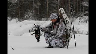 Latvalinnun metsästyksen aloitus 2023