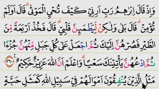 Belajar ngaji Pelan Surah Al Baqarah ayat 260-264