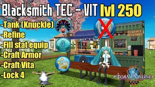 Blacksmith TEC VIT (Tank Knuckle) build lvl 250 - Toram Online [トーラムオンライン]