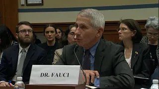 Fauci: Testing system 'a failing. Let's admit it.'