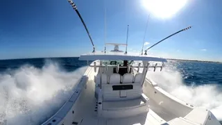 Bertram 39 choppy head sea