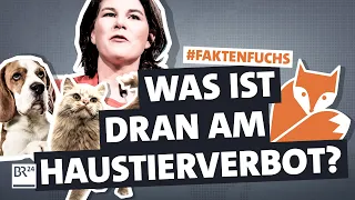 Falsche Nacktbilder, Haustierverbot-Fake? Gerüchte um Baerbock im Faktencheck I #Faktenfuchs I BR24