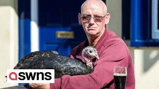 Turkey owner goes everywhere with his inseparable companion - even to the pub and the dentist | SWNS