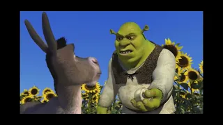 "Onions have layers, ogres have layers" Shrek