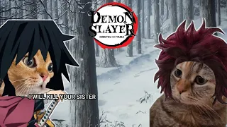 CAT MEMES: Demon Slayer