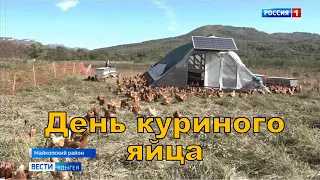 День куриного яйца - ГТРК Адыгея