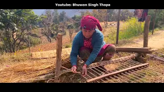 गुन्द्री / Gundri / Nepali Carpet Making / Bhuwan Singh Thapa / Village Life