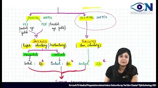 Quiz Explanation _ Squint || Dr.  Niha Aggarwal