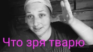 Побелила сарай, перенесла бройлеров 🐔