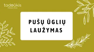 Pušų formavimas laužant ūglius (du būdai, kaip tai padaryti)