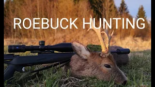 Roebuck hunting | kaurispukkijahti | 2020 - Finnishhunt