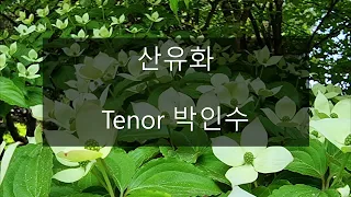 산유화(김성태) - 박인수 테너 (김소월 시)