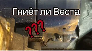 Что стало с Вестой через год? Гниёт ли Веста?