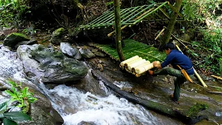 Solo Bushcraft: Build a shelter from bamboo next to the water | Day 68