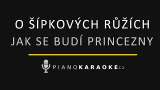 Jak se budí princezny - O šípkových růžích | Piano Karaoke Instrumental