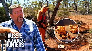 The Dirt Dogs Discover New Ground Rich In Gold Ores | Aussie Gold Hunters