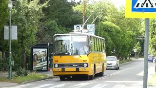 2024.05.18. Ikarus 260T és magánbuszok