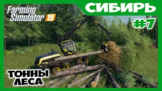 Расчистка участка под новое поле // Сибирь ч.7 // Farming simulator 19