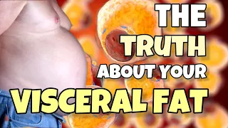 The Truth About Your Visceral Fat